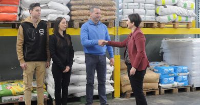 Strategie di successo per PMI: il ruolo della consulenza aziendale 6