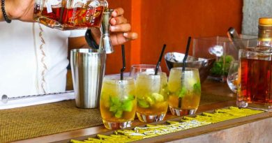 Vini, liquori e rum: le bevande tradizionali per un natale indimenticabile 3